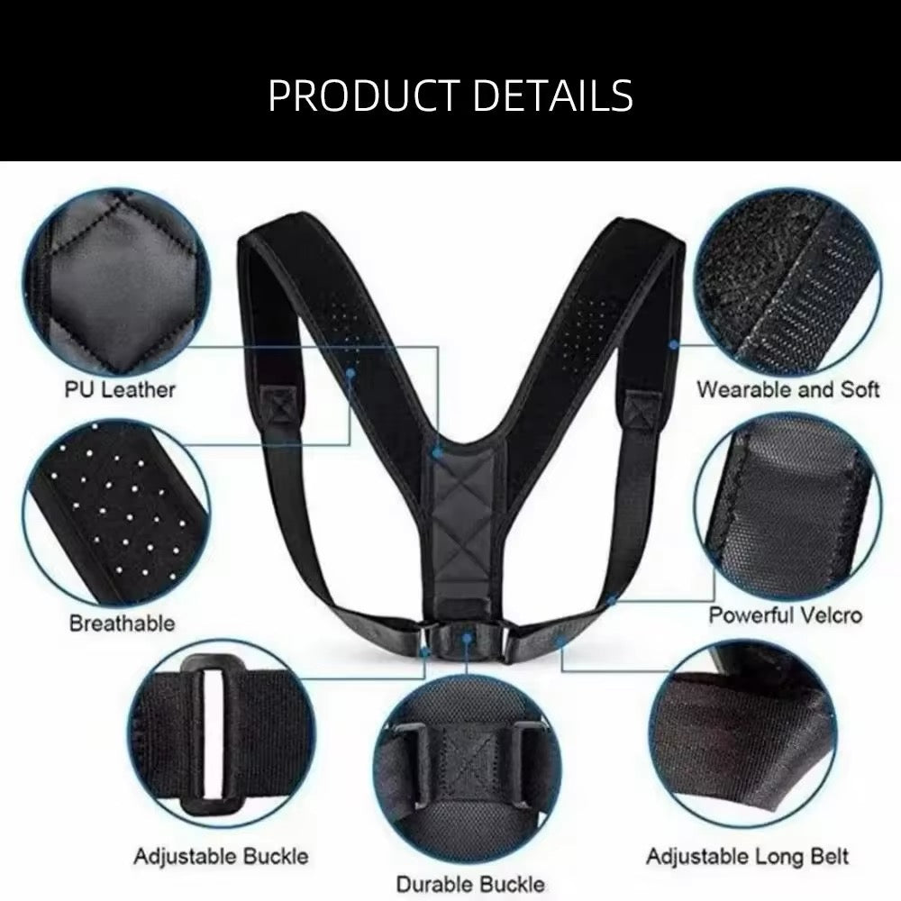 Back Brace