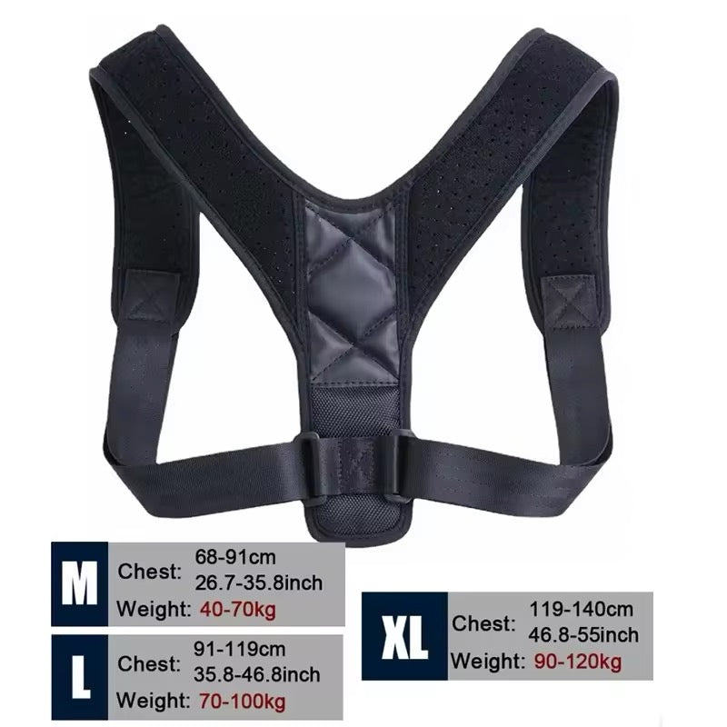 Back Brace